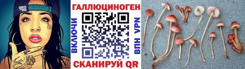 Псилоцибиновые грибы Psilocybine cubensis  продажа наркотиков  Кириши 